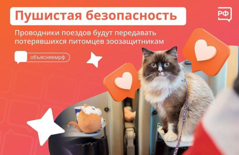 🐕🐈Высаживать животных из поезда будет нельзя — РЖД изменит..