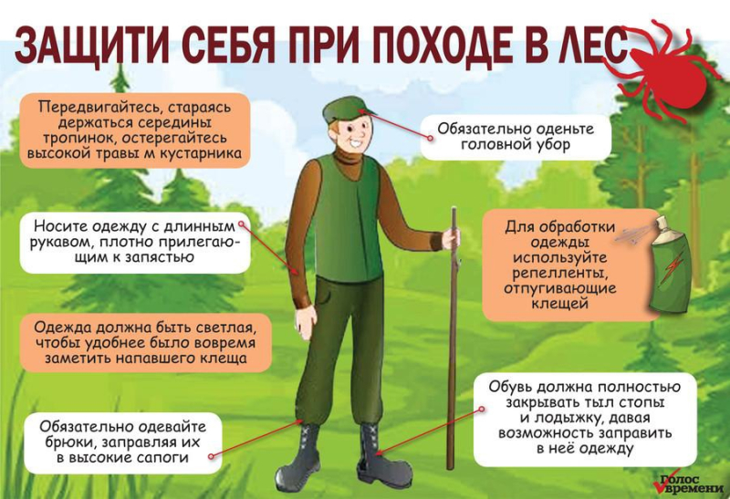 ☀️С приходом тёплой погоды многие стараются выбираться в лес..